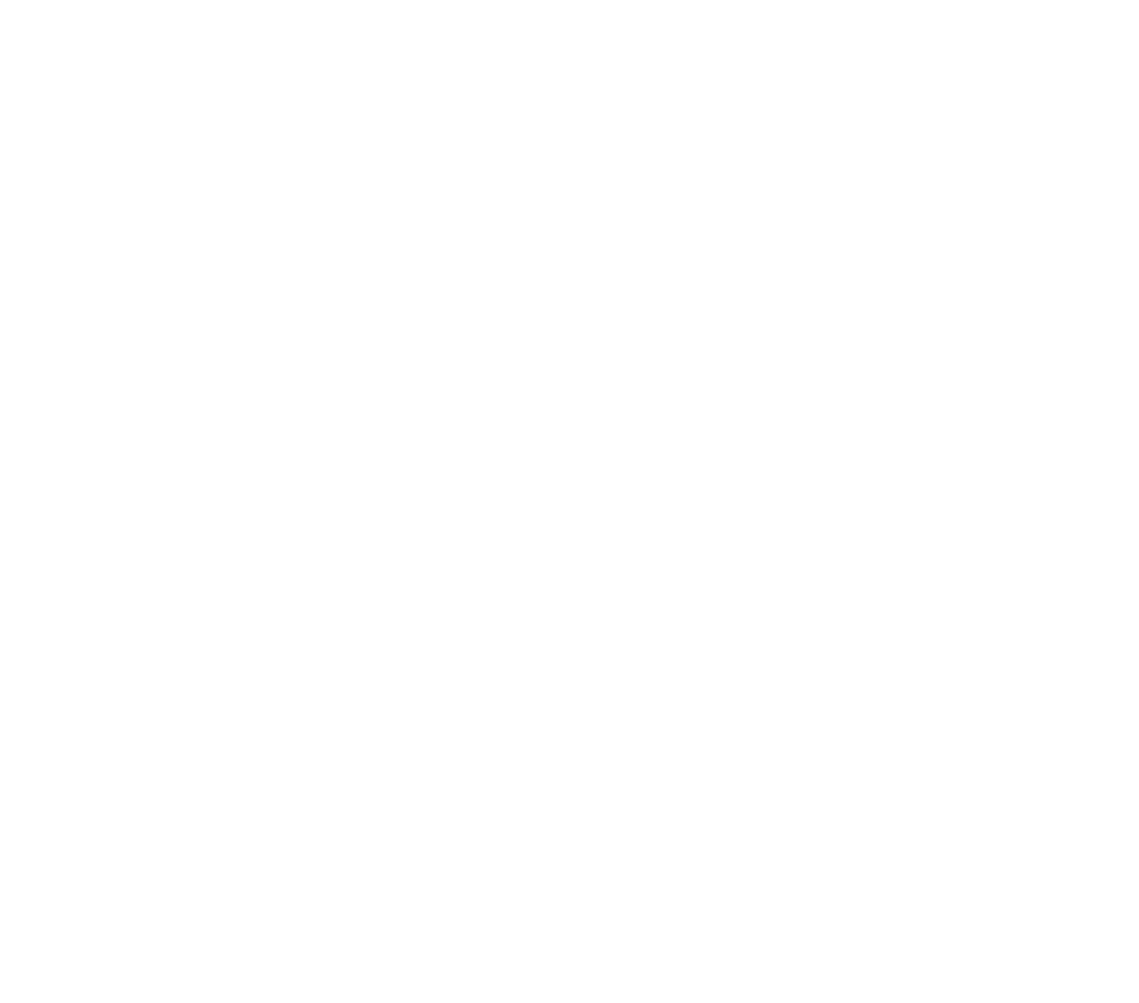 Xolo Nikkei